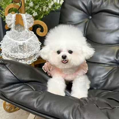 Fluffy Starry Sky Small Dog Jumpsuit Summer Teddy Dress