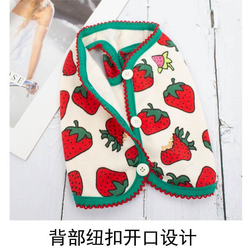 Cute Teddy Bear Pet Vest for Small Dogs & Cats