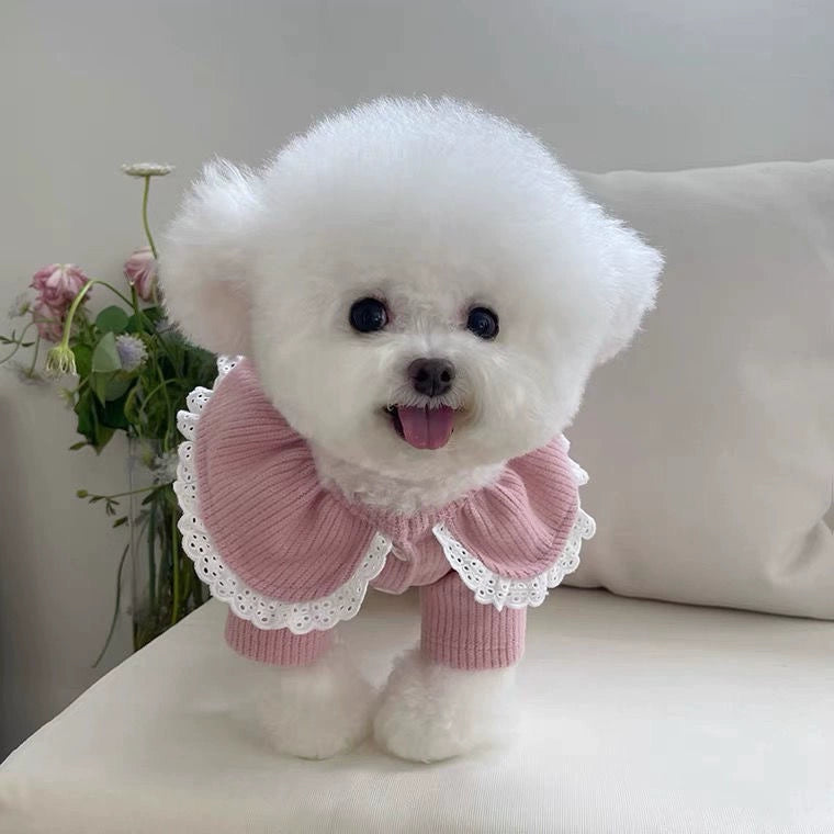 Pet Lace Cardigan Sweater Warm for Small Dogs Autumn