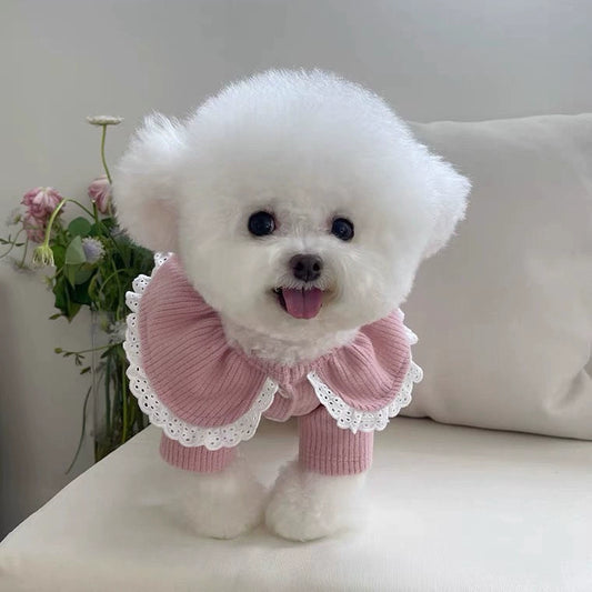 Pet Lace Cardigan Sweater Warm for Small Dogs Autumn
