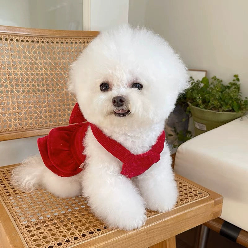 Elegant Red Pet Skirt with Bow for Small Dogs
