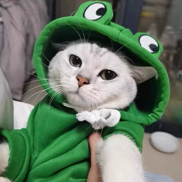 Cute Frog-Pattern Cat Sweater – Warm Winter Pet Clothing
