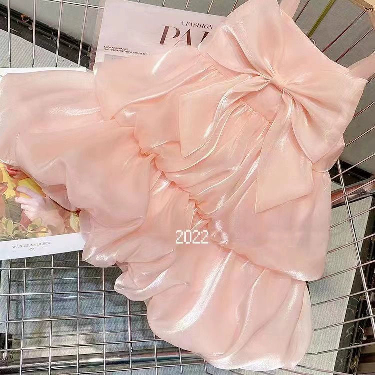 Princess Dress for Tea Cup Dogs with Tutu Skirt
