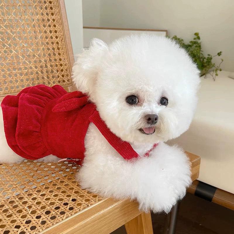 Elegant Red Pet Skirt with Bow for Small Dogs