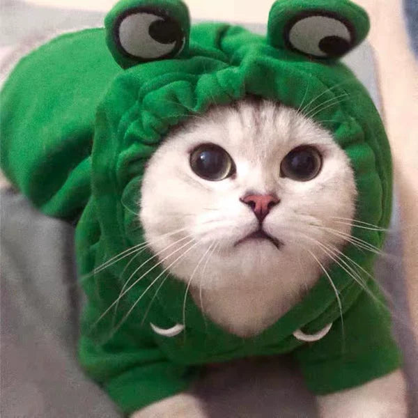 Cute Frog-Pattern Cat Sweater – Warm Winter Pet Clothing