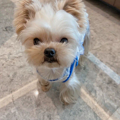 Premium Cotton Pet Dog Vest for Spring Autumn Casual Style