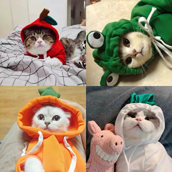 Cute Frog-Pattern Cat Sweater – Warm Winter Pet Clothing