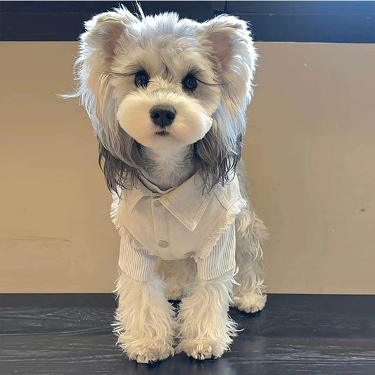 Off-White Denim Pet Jacket and Matching Vest Summer Set