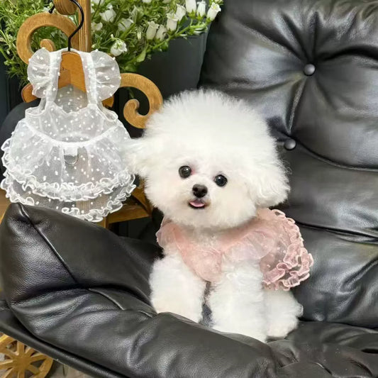 Starry Blue Fluffy Gauze Pet Dress for Small Dogs